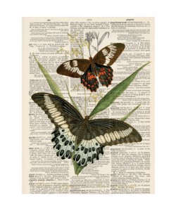 Tina Carlson, BUTTERFLY PLANTS III