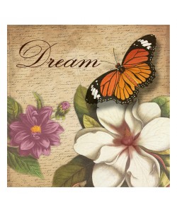 Jace Grey, LETTER DREAM