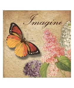 Jace Grey, LETTER IMAGINE