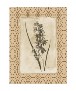 Jace Grey, EARTHY FLORAL BORDERED III