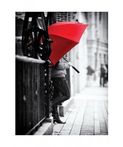 Sandro De Carvalho, UMBRELLA WALKER II