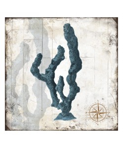 Jace Grey, WOOD CORALS I