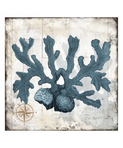 Jace Grey, WOOD CORALS II