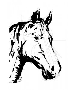 Onrei, SKETCHED HORSE