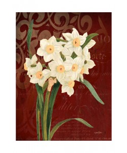 Diane Stimson, NARCISSUS I