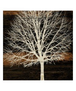 Diane Stimson, NIGHT TREE