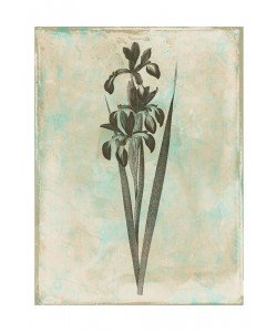 Jace Grey, EARTHY FLORAL GREEN II