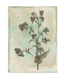 Jace Grey, EARTHY FLORAL GREEN I