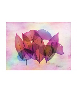 Albert Koetsier, POTPOURRI II