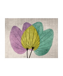 Albert Koetsier, PLAY OF COLORS II