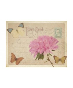 Taylor Greene, VINTAGE POSTCARD I