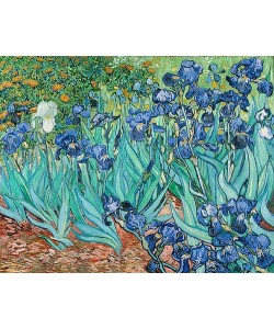 Vincent van Gogh, Iris. 1889
