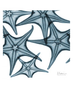 Albert Koetsier, STARFISH BLUE II