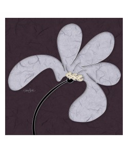 Diane Stimson, GRAY FLOWERS I