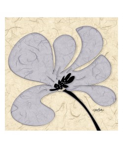 Diane Stimson, GRAY FLOWERS II