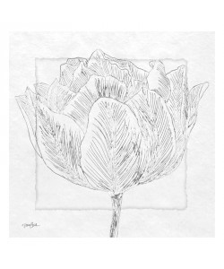 Diane Stimson, TULIPA I