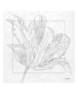 Diane Stimson, TULIPA II