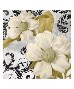 Diane Stimson, SIMPLE WHITE I
