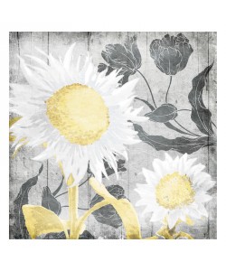 Onrei, GREY SUNSHINE II