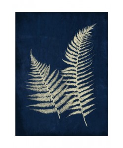 Jace Grey, DARK FERNS I