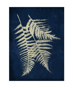 Jace Grey, DARK FERNS II