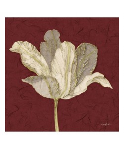 Diane Stimson, TULIP WITH BURGUNDY
