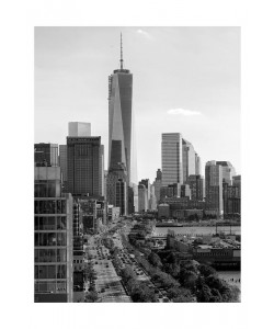 Sandro De Carvalho, FREEDOM TOWER II
