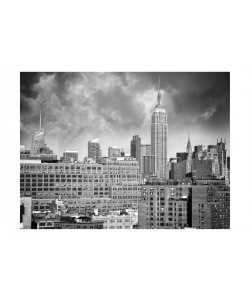 Sandro De Carvalho, EMPIRE STATE IV