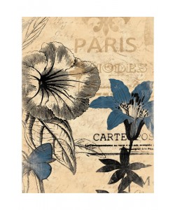 Jace Grey, BLUE FLOWERS I