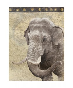Jace Grey, MAP WITH ELEPHANT II