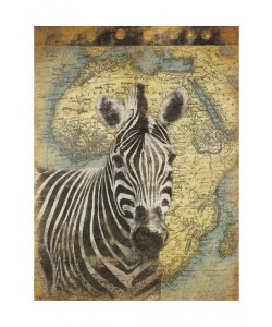 Jace Grey, MAP WITH ZEBRA II