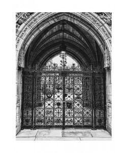 Sandro De Carvalho, ARCHED ENTRY IV