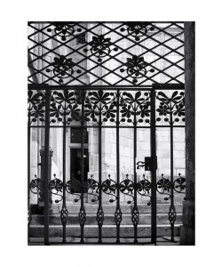 Sandro De Carvalho, GATED VIEW II