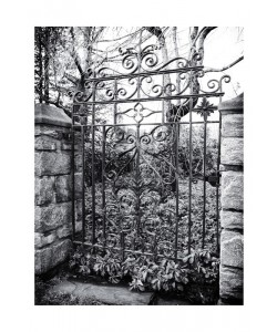 Sandro De Carvalho, GATED VIEW III