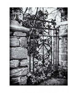 Sandro De Carvalho, GATED VIEW IV
