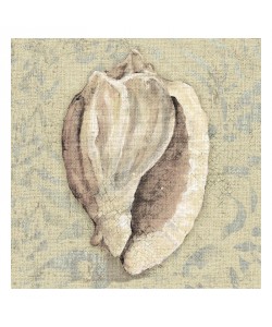 Sunny, CONCH I
