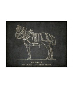 Tina Carlson, HORSE SKETCH I