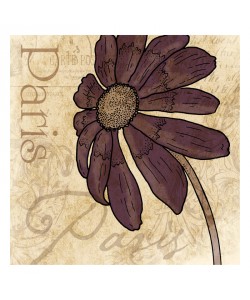 Jace Grey, BROWN FLOWER