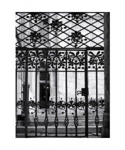 Sandro De Carvalho, GATED VIEW II