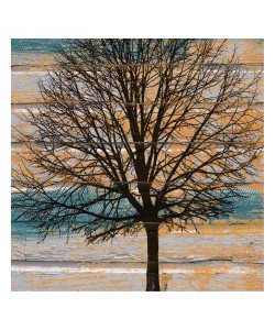 Diane Stimson, DAY TREE