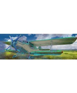 Sheldon Lewis, TO FLY