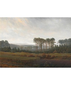 Caspar David Friedrich, Der Nachmittag. 3. Bild der Folge der 'Vier Tageszeiten'. Um 1822