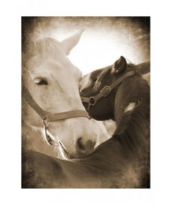 Suzanne Foschino, MY LOVE IV