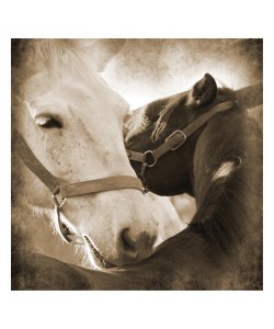 Suzanne Foschino, MY LOVE III