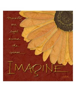 Diane Stimson, GERBERA IMAGINE