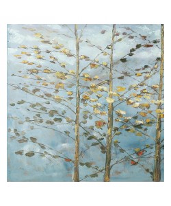 Kruk, ASPEN II