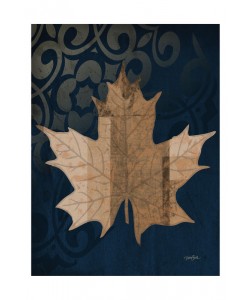 Diane Stimson, MAPLE II