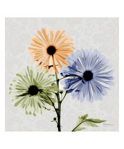 Albert Koetsier, MULTI FLOWERS I