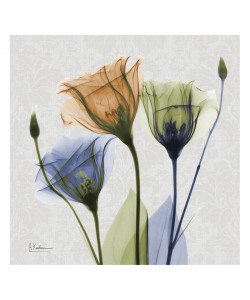 Albert Koetsier, MUTLI FLOWERS II