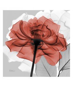 Albert Koetsier, FLOWERS IN RED I